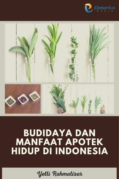 Budidaya dan Manfaat Apotek Hidup di Indonesia